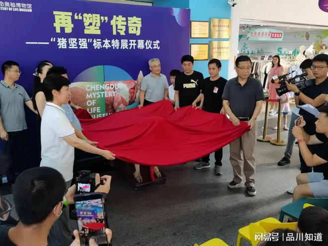 加强品牌宣传力度2024媒体矩阵新启航