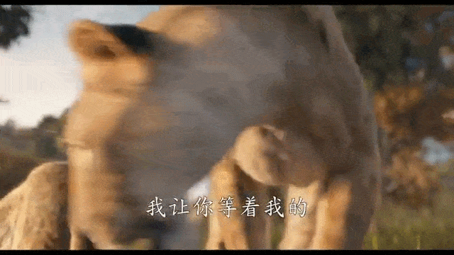 我要住在电影院！！2024年末动画电影大盘点！！(图33)
