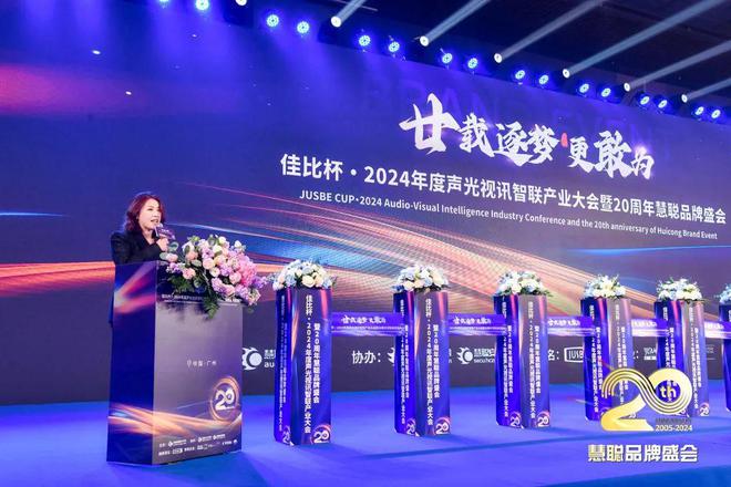 廿载逐梦更敢为！2024声光视讯智联产业大会盛大举办！(图4)