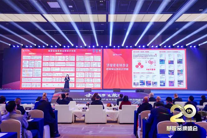 廿载逐梦更敢为！2024声光视讯智联产业大会盛大举办！(图13)