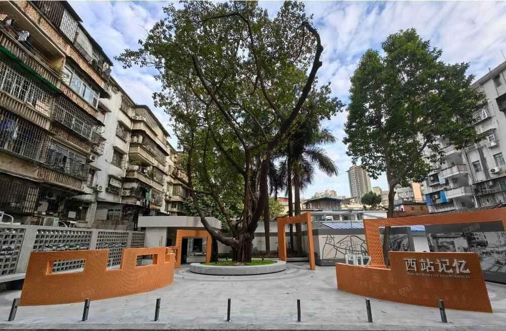 广州荔湾：让历史街区焕发时代新韵绘就宜居城区新图景(图3)