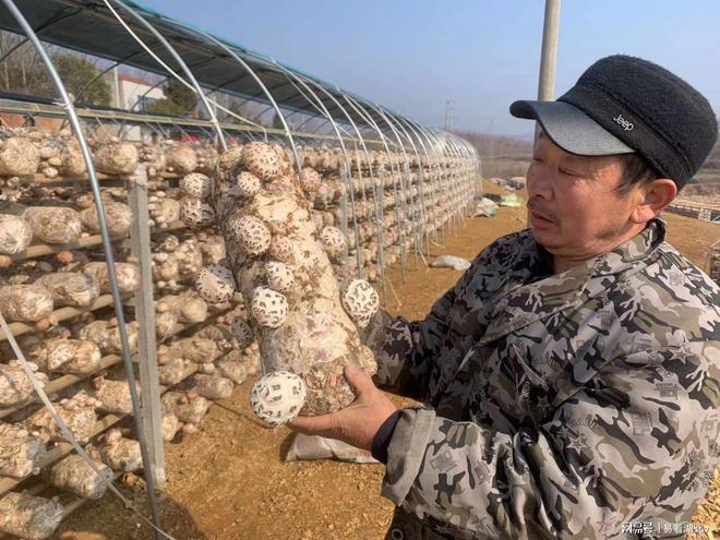 向往的渔村丨出发！去乐东当一天海洋牧场主(图7)