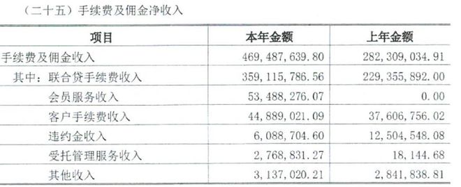 从持牌消金2024年报看这几家平台业绩上涨的原因(图3)