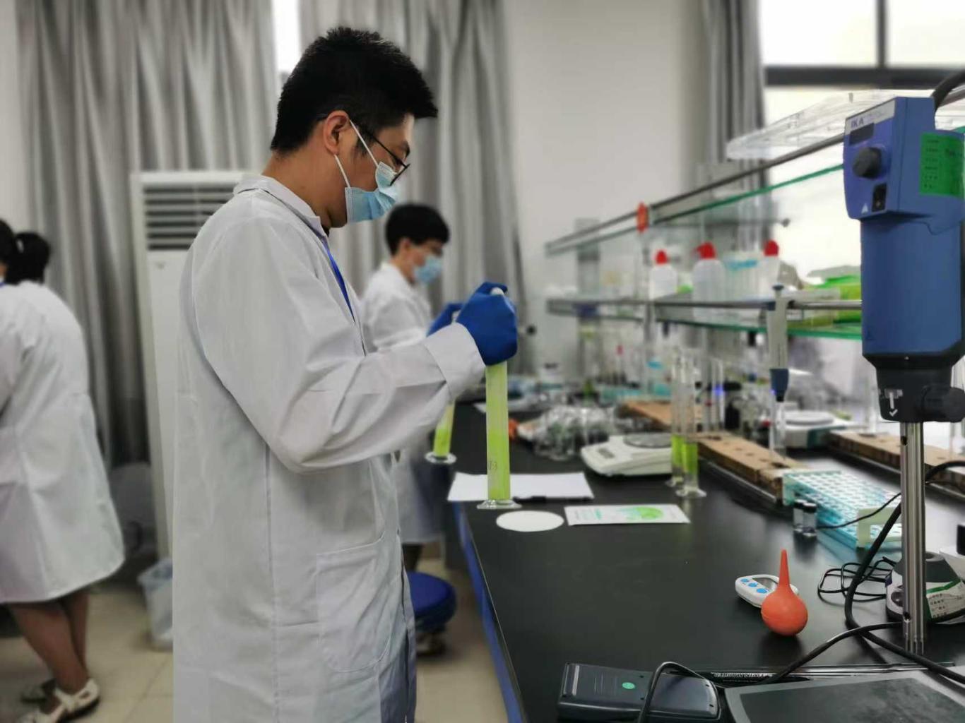 金秋眉县果飘香(图2)