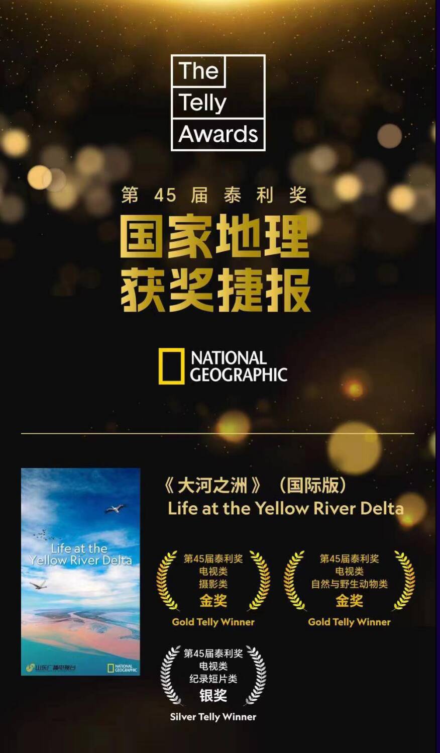 九游娱乐：2024中国新媒体大会｜继续坚持内容为王为提升传播“四力”提供澎湃动能(图2)