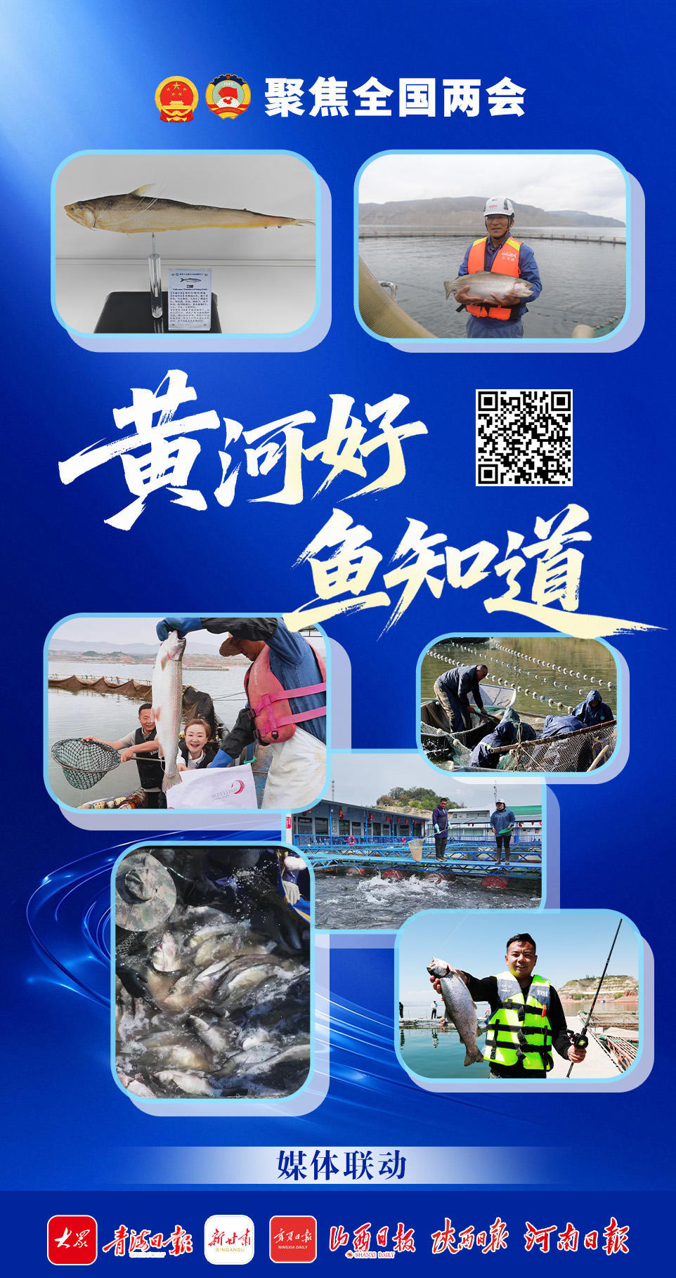 党媒联动｜黄河好鱼知道