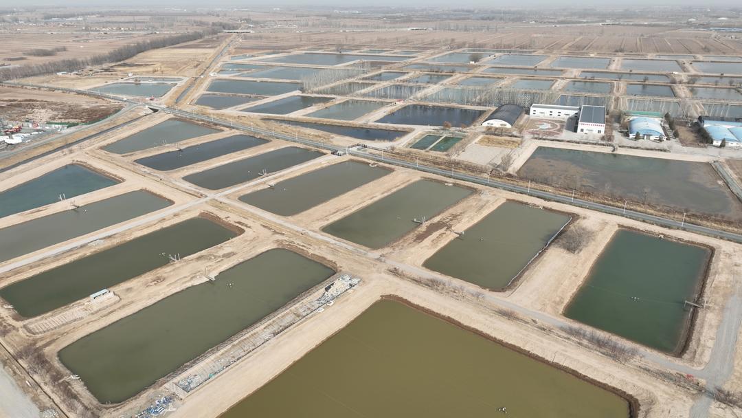 党媒联动｜黄河好鱼知道(图10)